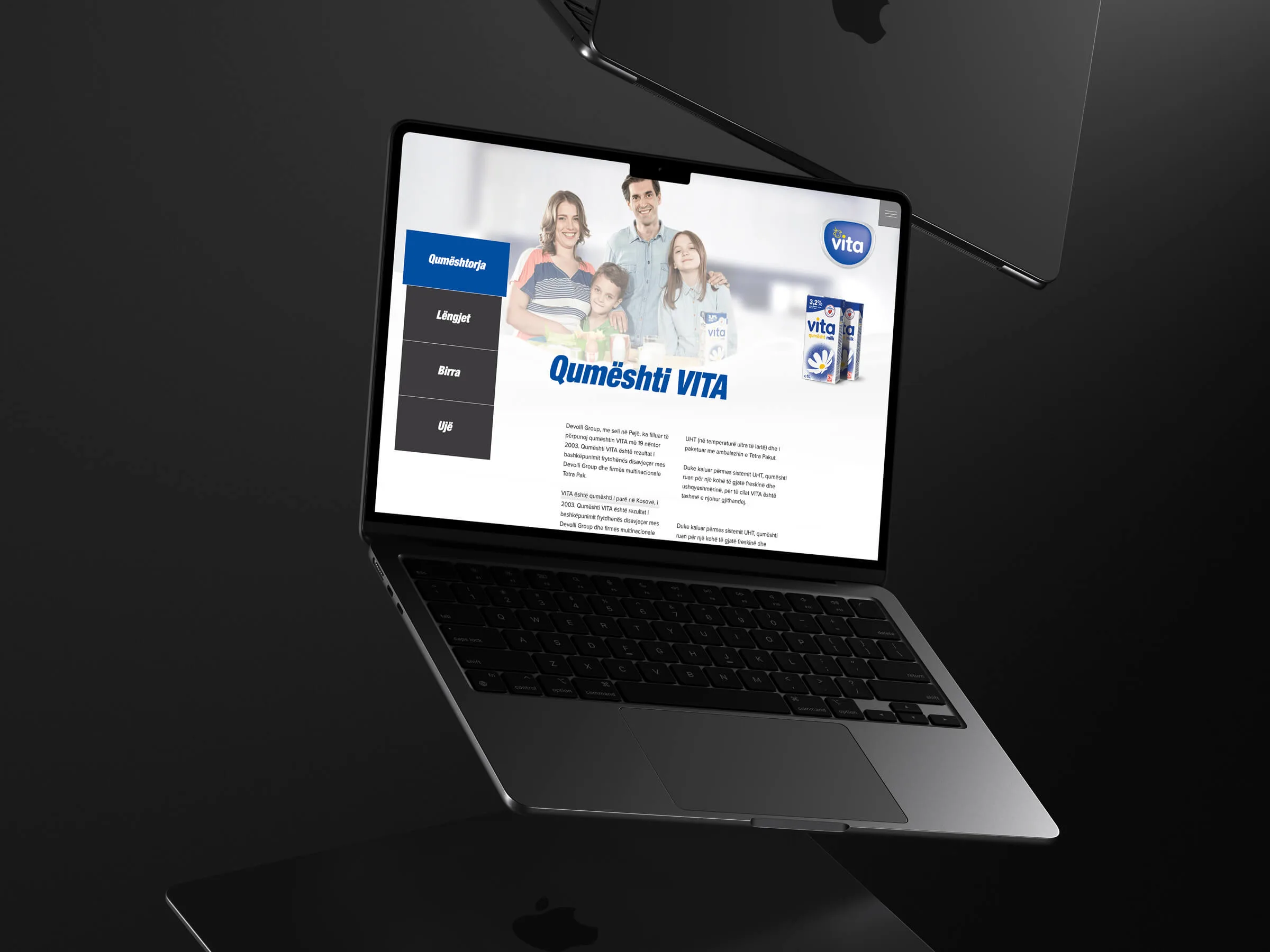 Devolli Group website design