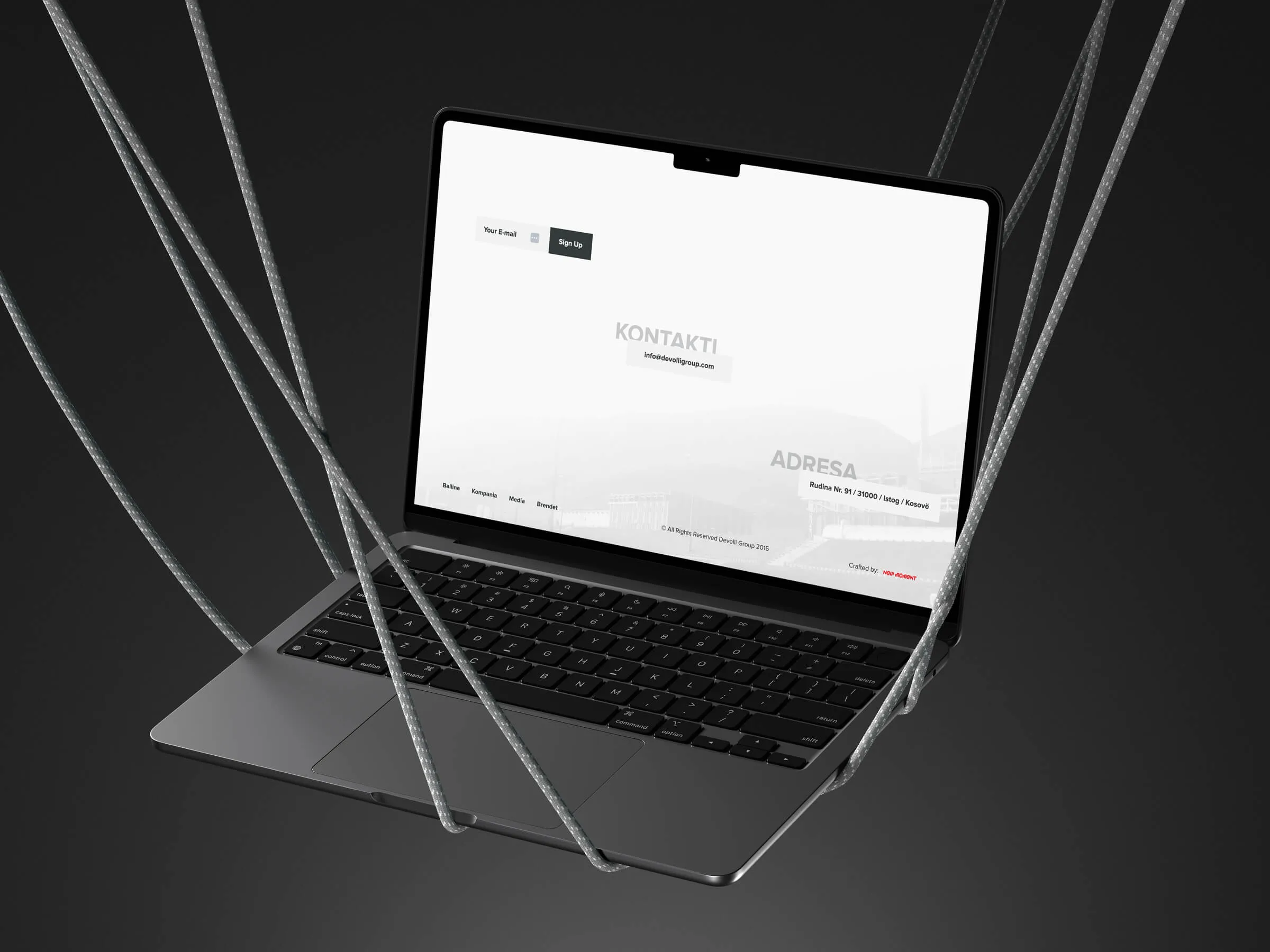 Devolli Group website design
