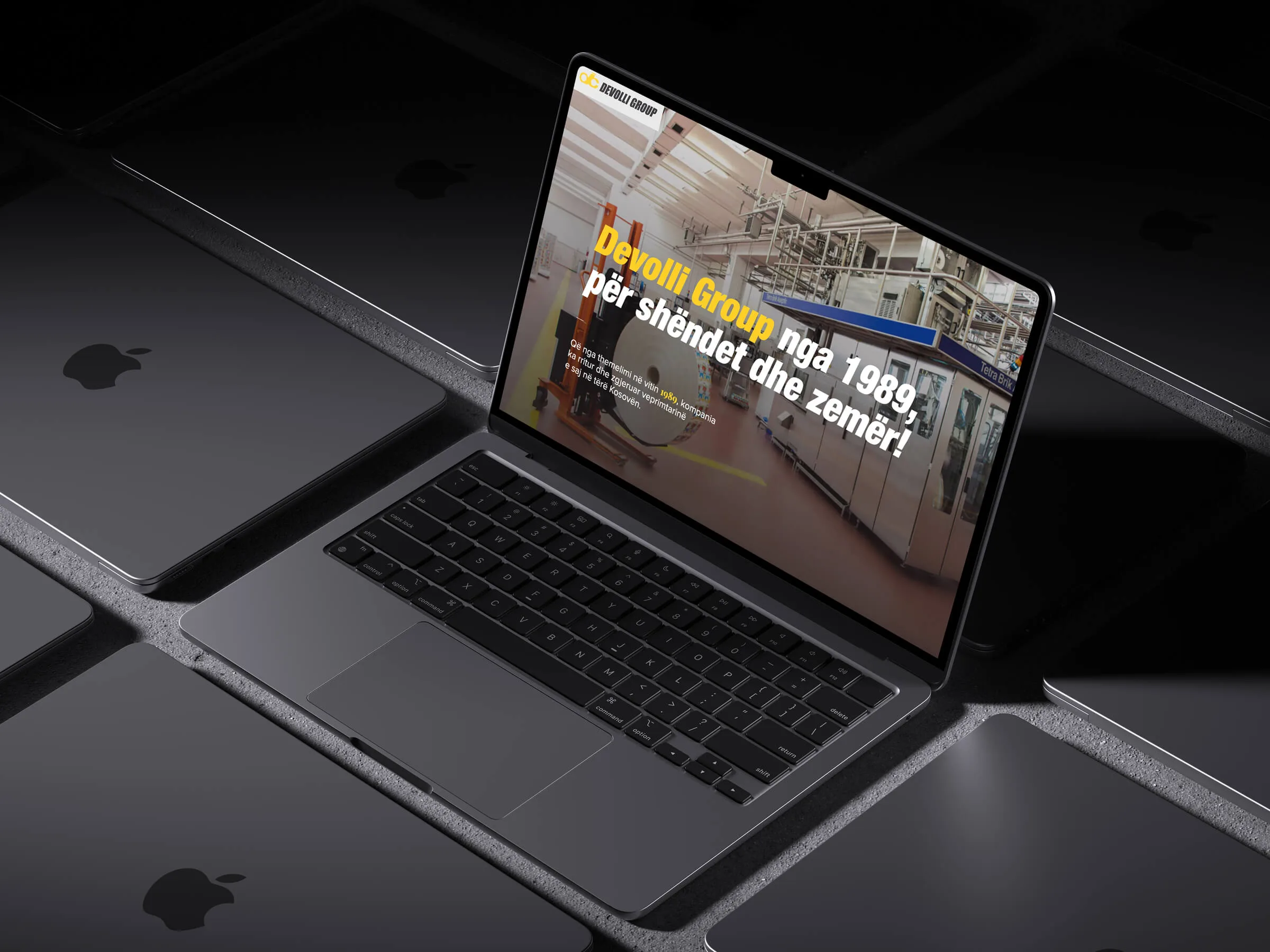 Devolli Group website design
