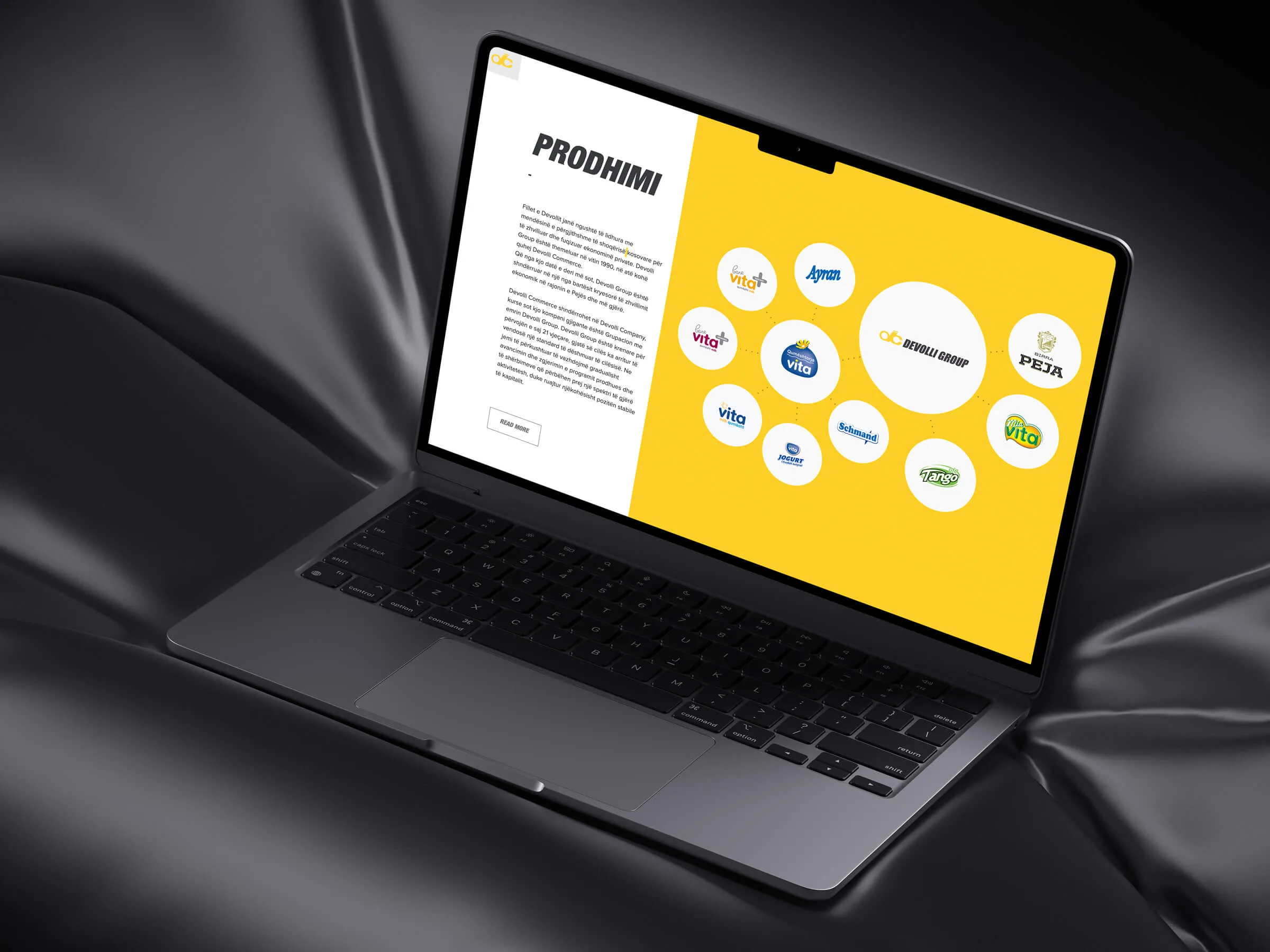 Devolli Group website design