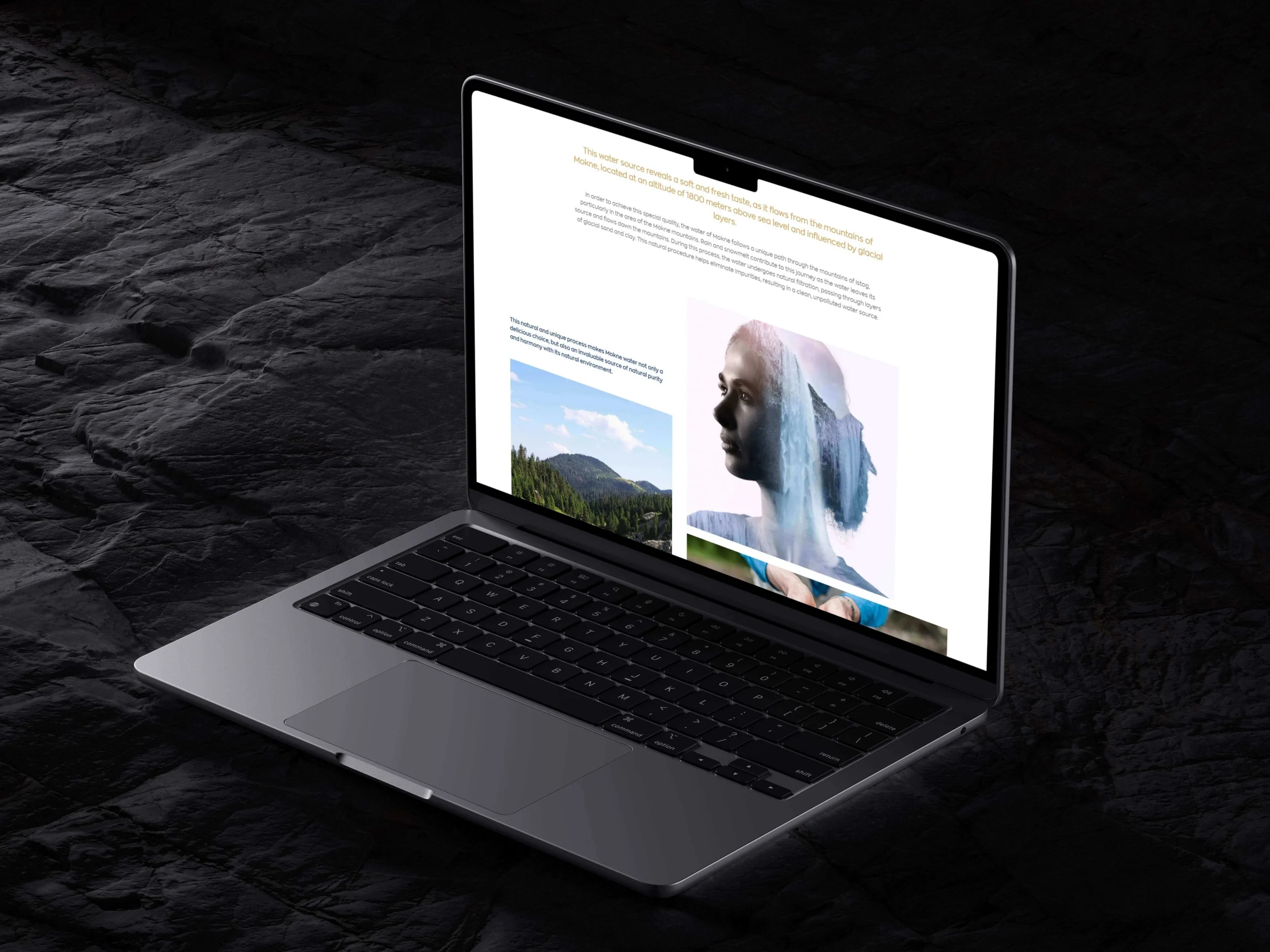 Laurin Soares website design