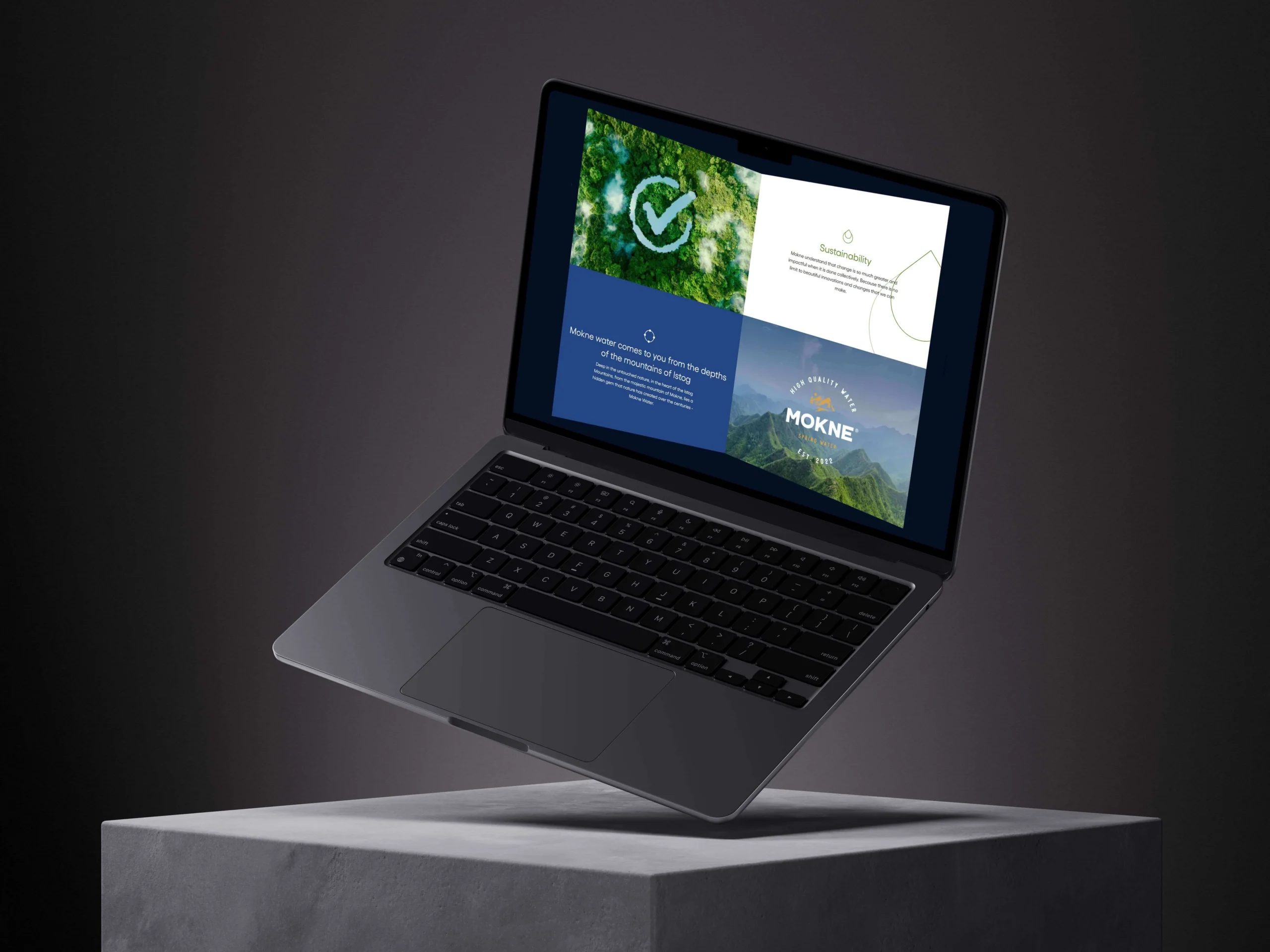 Laurin Soares website design