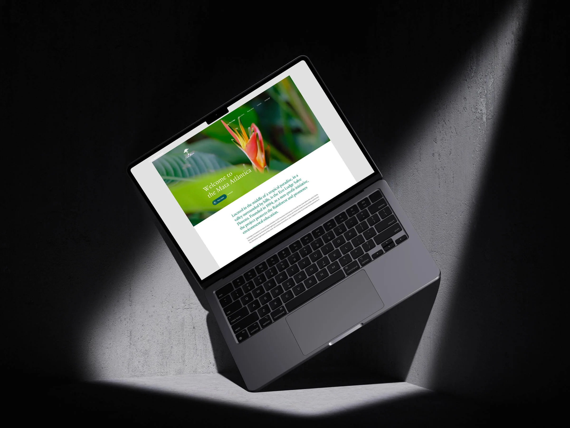 Laurin Soares website design