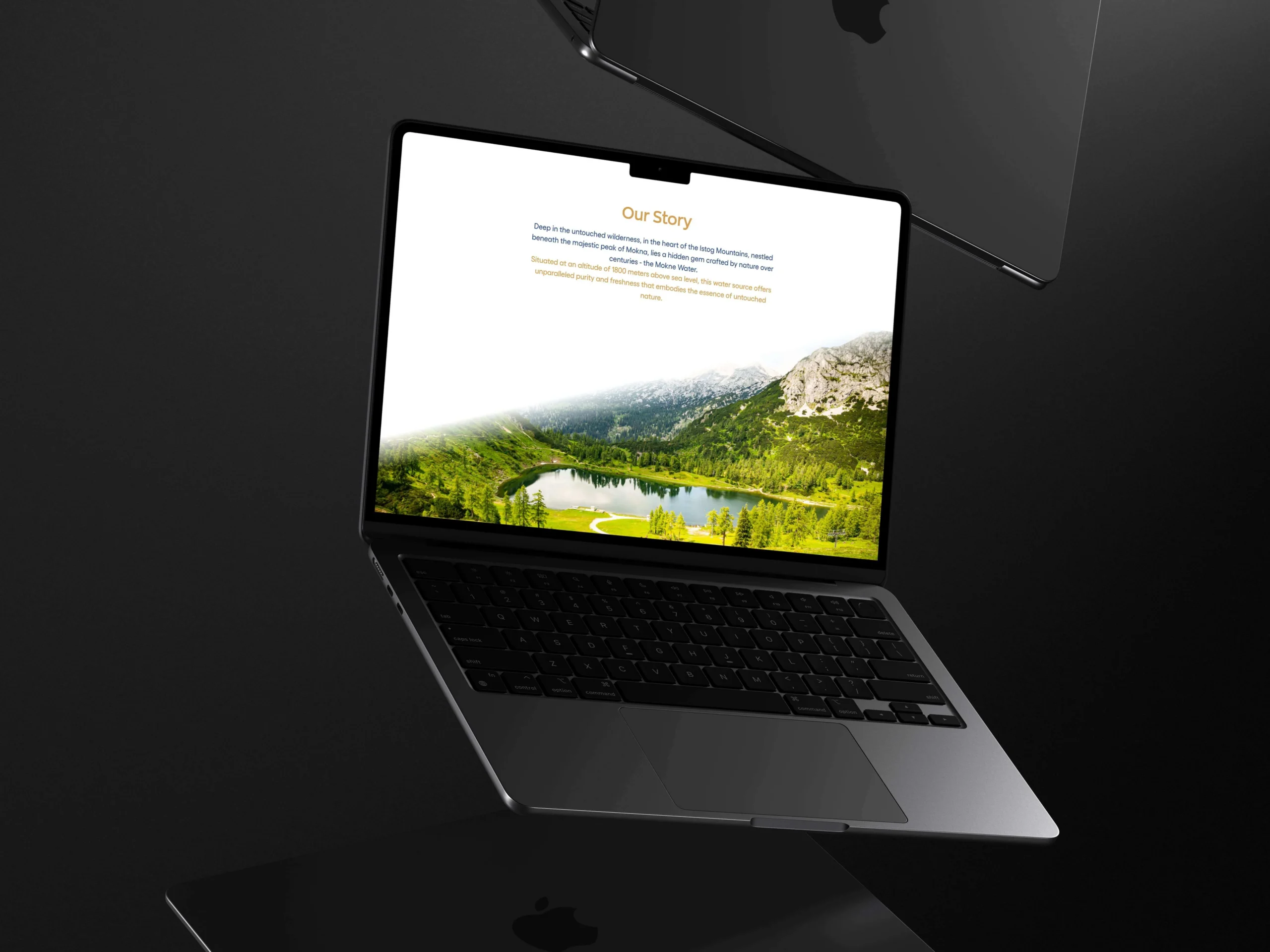 Laurin Soares website design