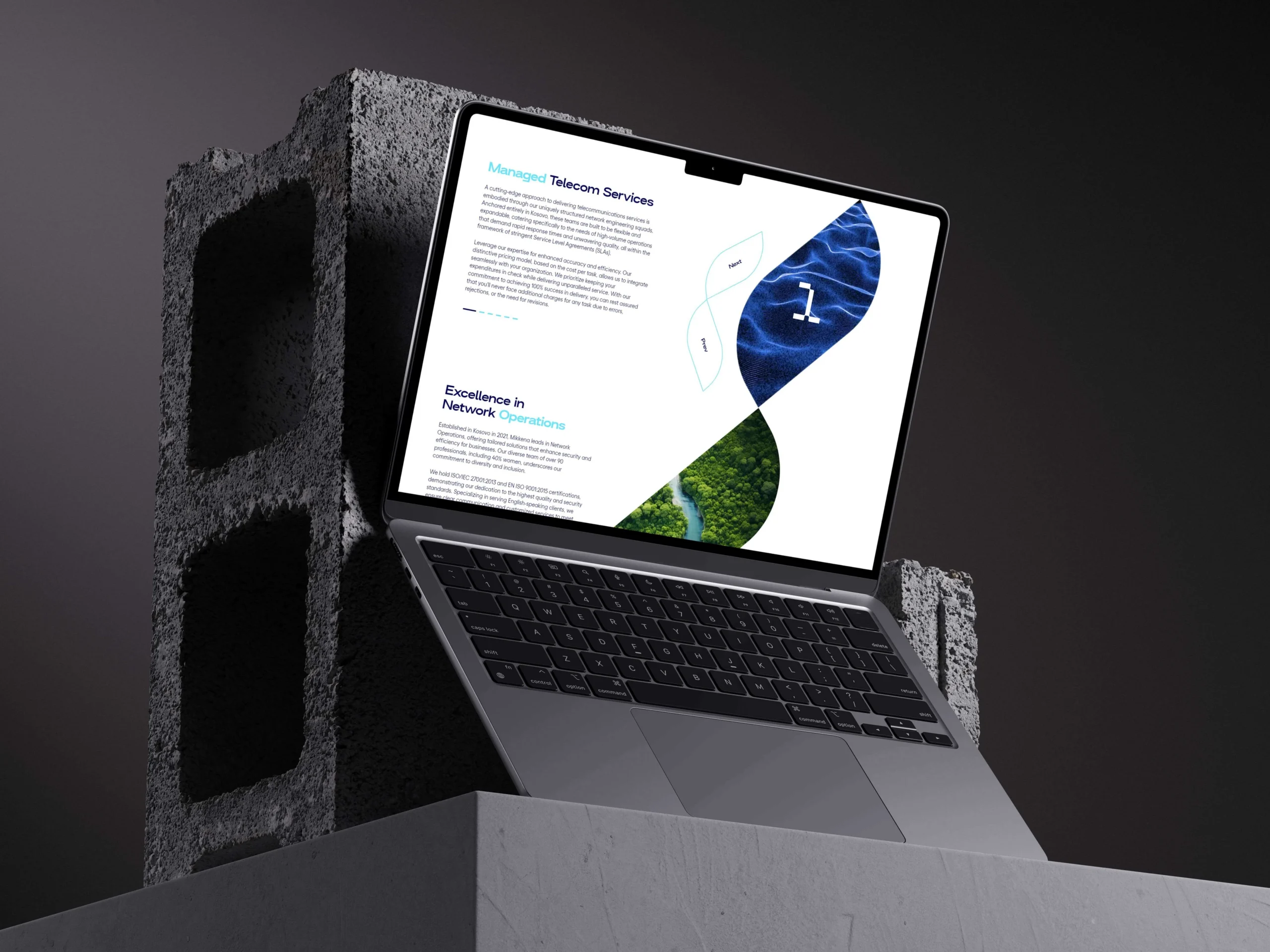 Mikkena website design