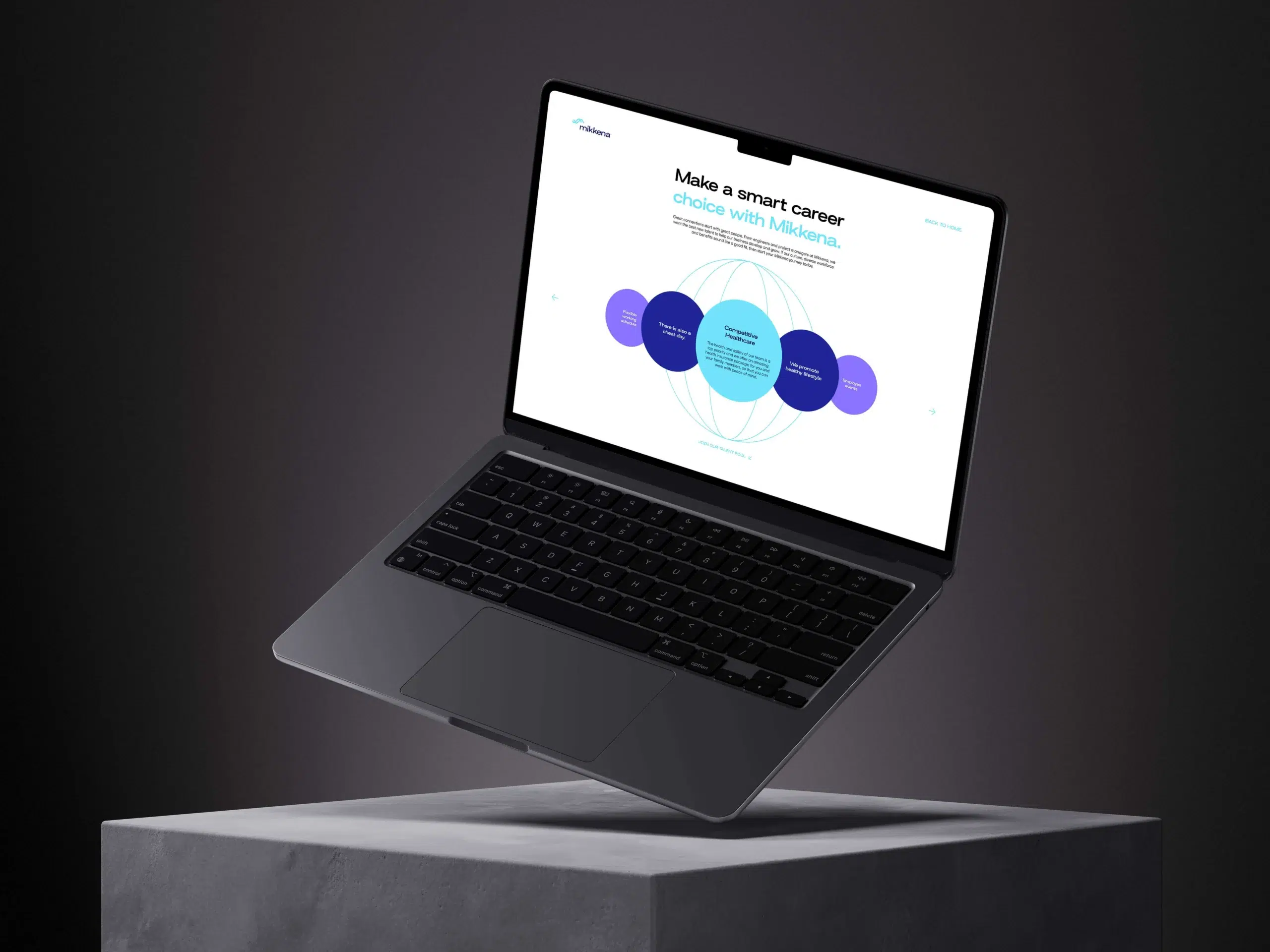 Mikkena website design