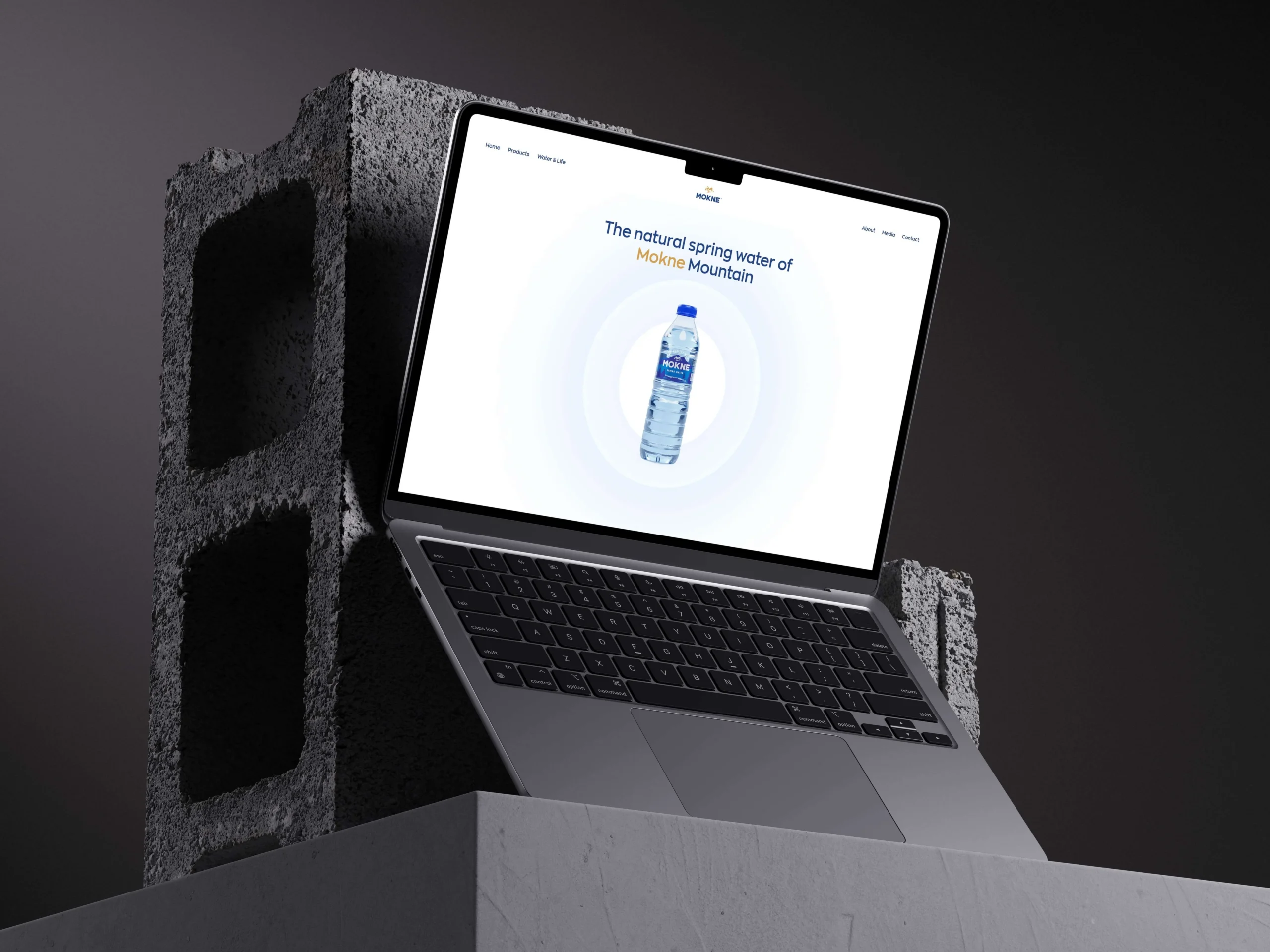 Mokne Water website design