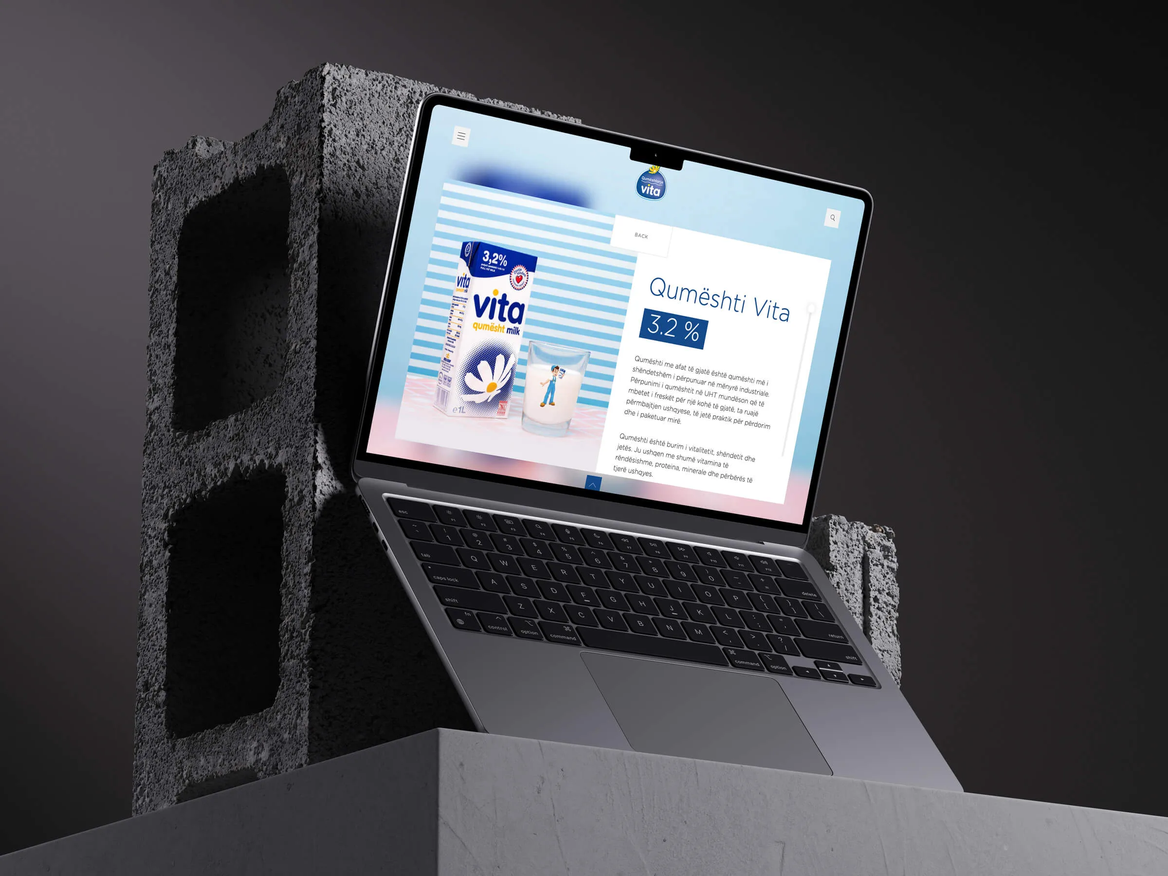 Vita dairy website design