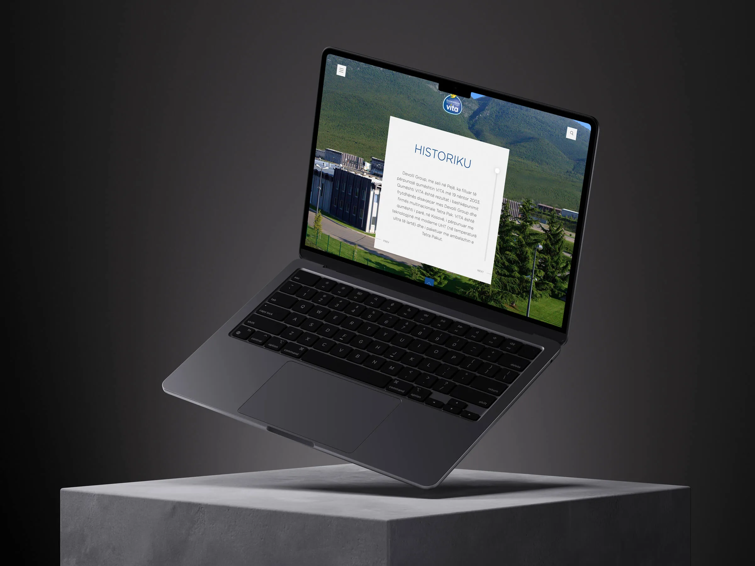 Vita dairy website design